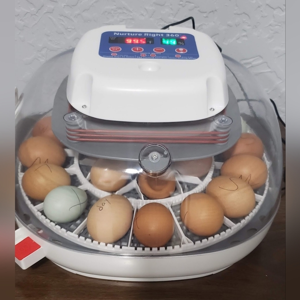 Nuture Right 360 Egg Incubator